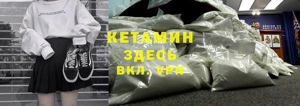 стафф Дмитриев