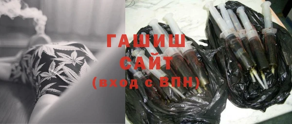 гашик Ельня