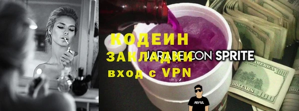 гашик Ельня