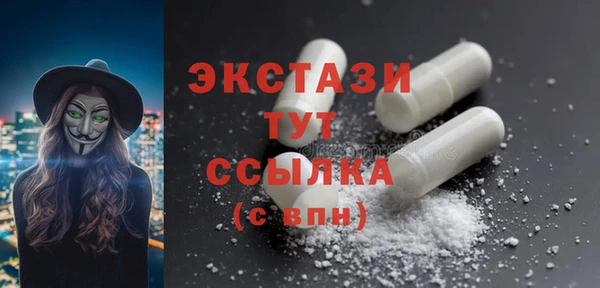 гашик Ельня