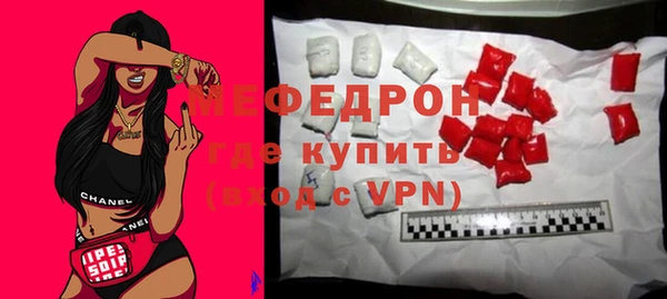 гашик Ельня
