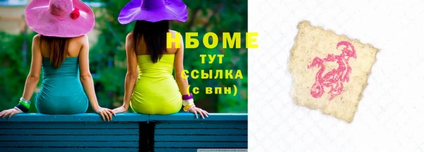 гашик Ельня