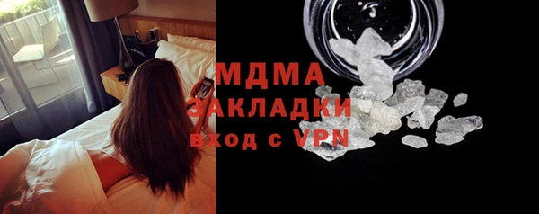 гашик Ельня