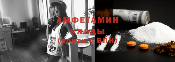 гашик Ельня