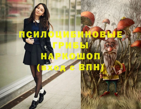 спайс Елизово