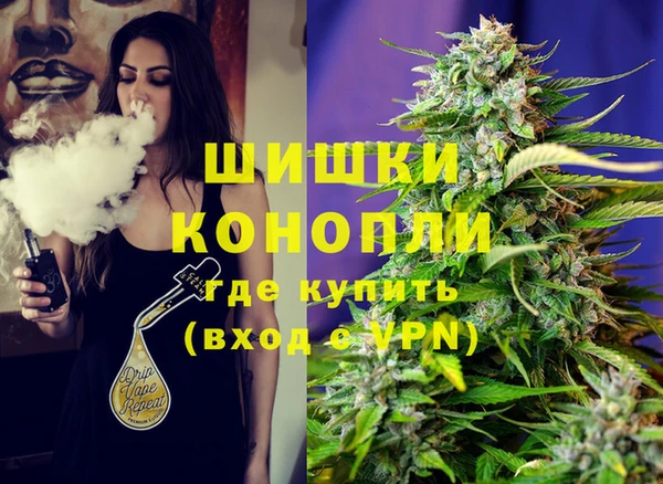 гашик Ельня