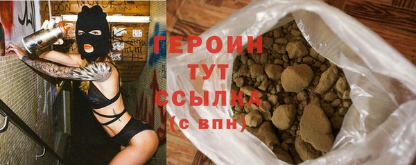 гашик Ельня