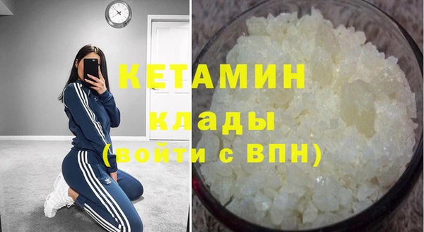 гашик Ельня