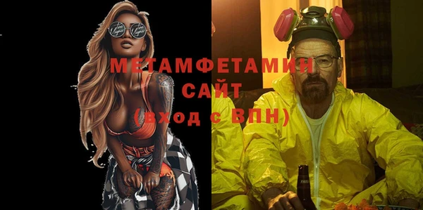 гашик Ельня