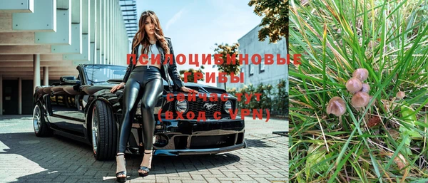 спайс Елизово