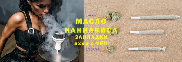гашик Ельня