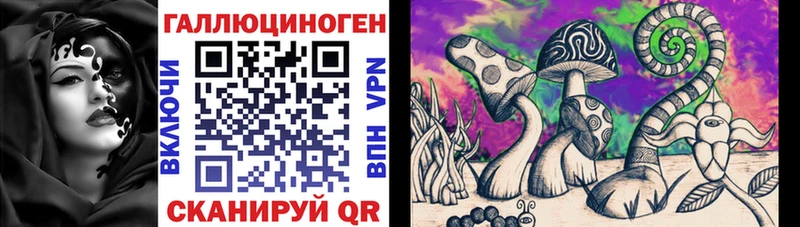 Галлюциногенные грибы Cubensis  Купить где  Сатка 